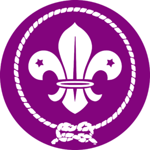 Wosm logo grande.png